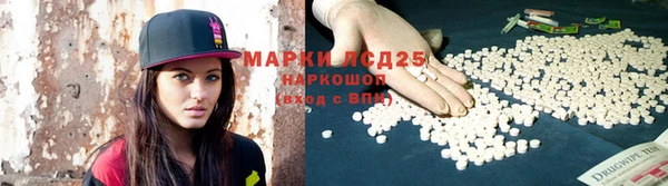 индика Алексин