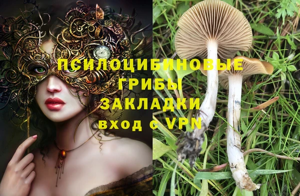 кокаин колумбия Алзамай