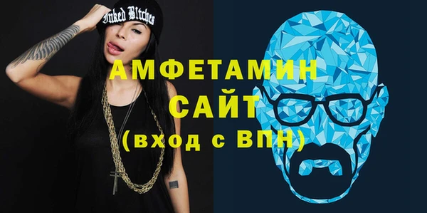 индика Алексин
