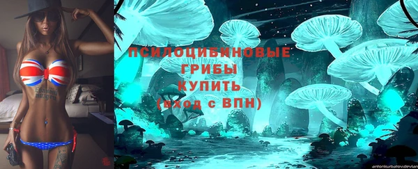 a pvp Алексеевка