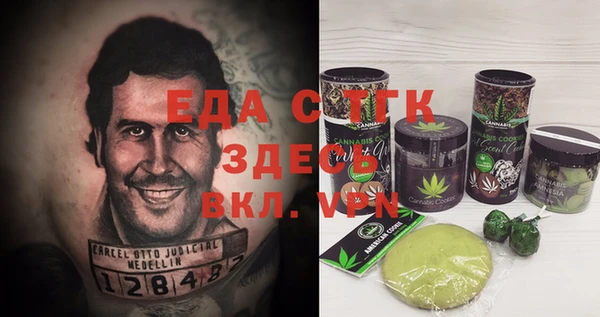 индика Алексин