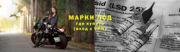 индика Алексин