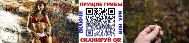 Галлюциногенные грибы прущие грибы МЕГА как зайти нарко площадка клад Серов